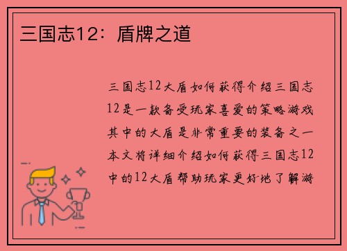 三国志12：盾牌之道