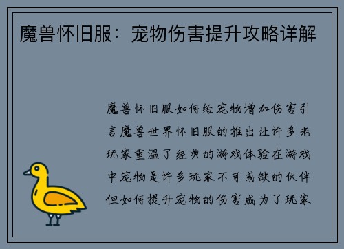 魔兽怀旧服：宠物伤害提升攻略详解