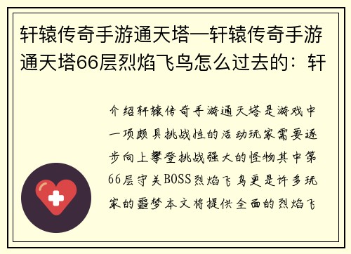 轩辕传奇手游通天塔—轩辕传奇手游通天塔66层烈焰飞鸟怎么过去的：轩辕传奇：通天塔的挑战与荣耀