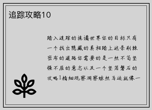 追踪攻略10